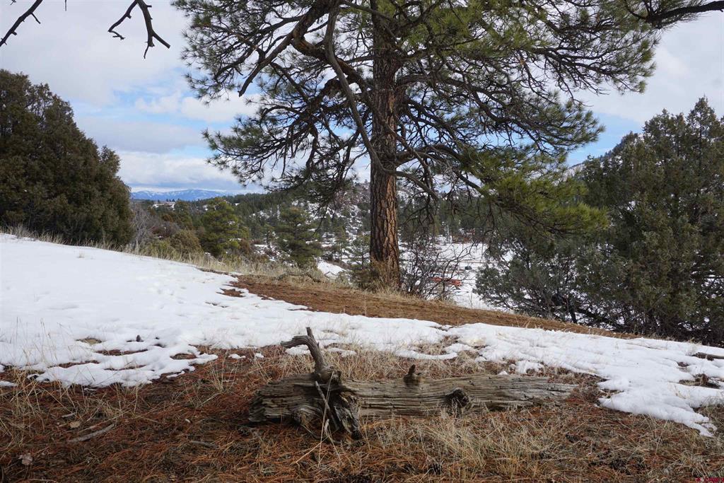 941 975,995 & 1027 Hurt Drive Pagosa Springs CO 81147