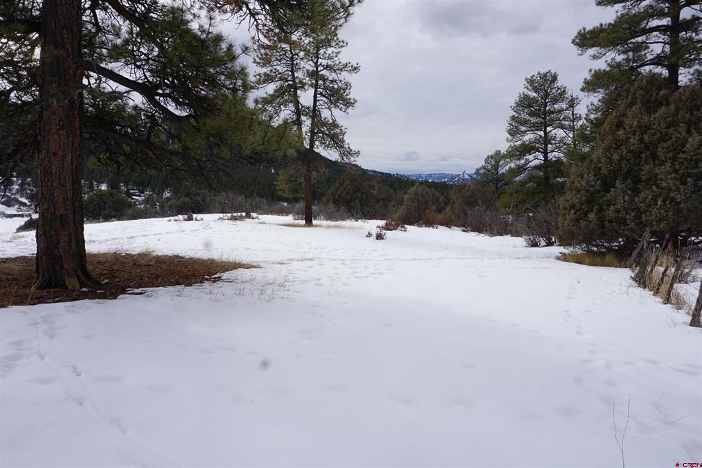 941 975,995 & 1027 Hurt Drive Pagosa Springs CO 81147