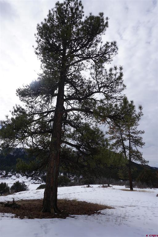 941 975,995 & 1027 Hurt Drive Pagosa Springs CO 81147