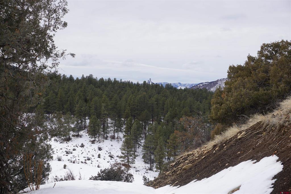 941 975,995 & 1027 Hurt Drive Pagosa Springs CO 81147