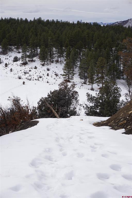 941 975,995 & 1027 Hurt Drive Pagosa Springs CO 81147
