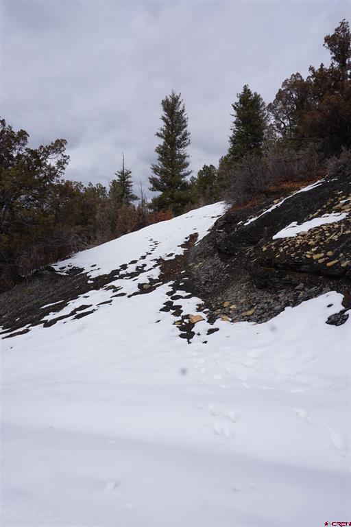 941 975,995 & 1027 Hurt Drive Pagosa Springs CO 81147