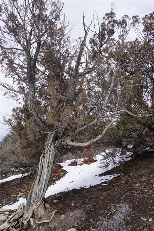 941 975,995 & 1027 Hurt Drive Pagosa Springs CO 81147