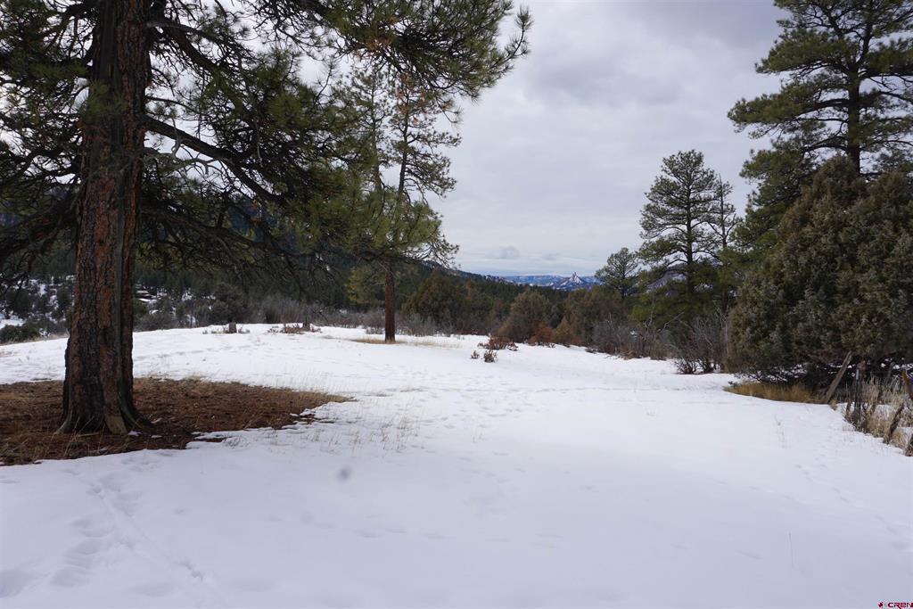 941 975,995 & 1027 Hurt Drive Pagosa Springs CO 81147