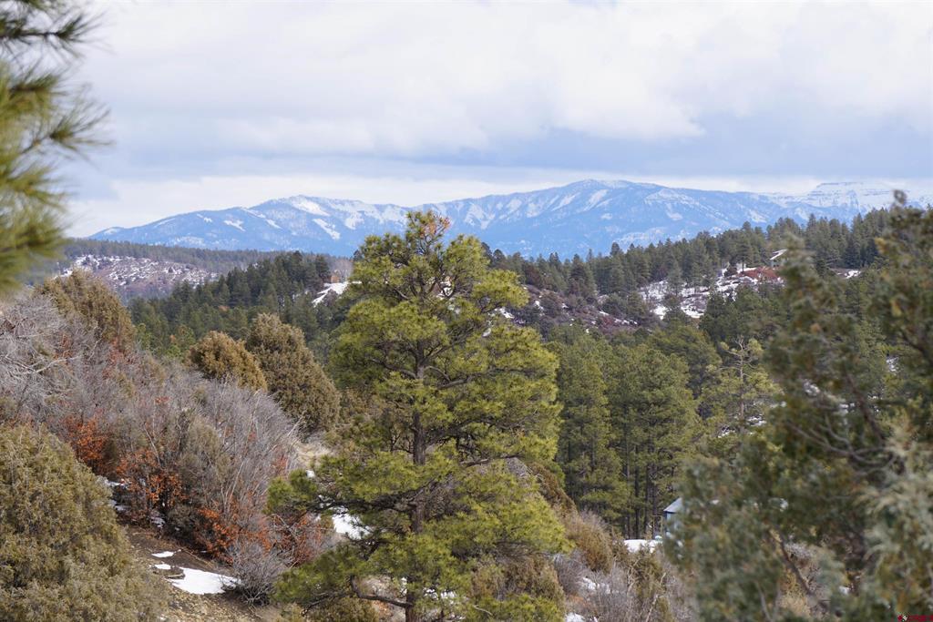 941 975,995 & 1027 Hurt Drive Pagosa Springs CO 81147