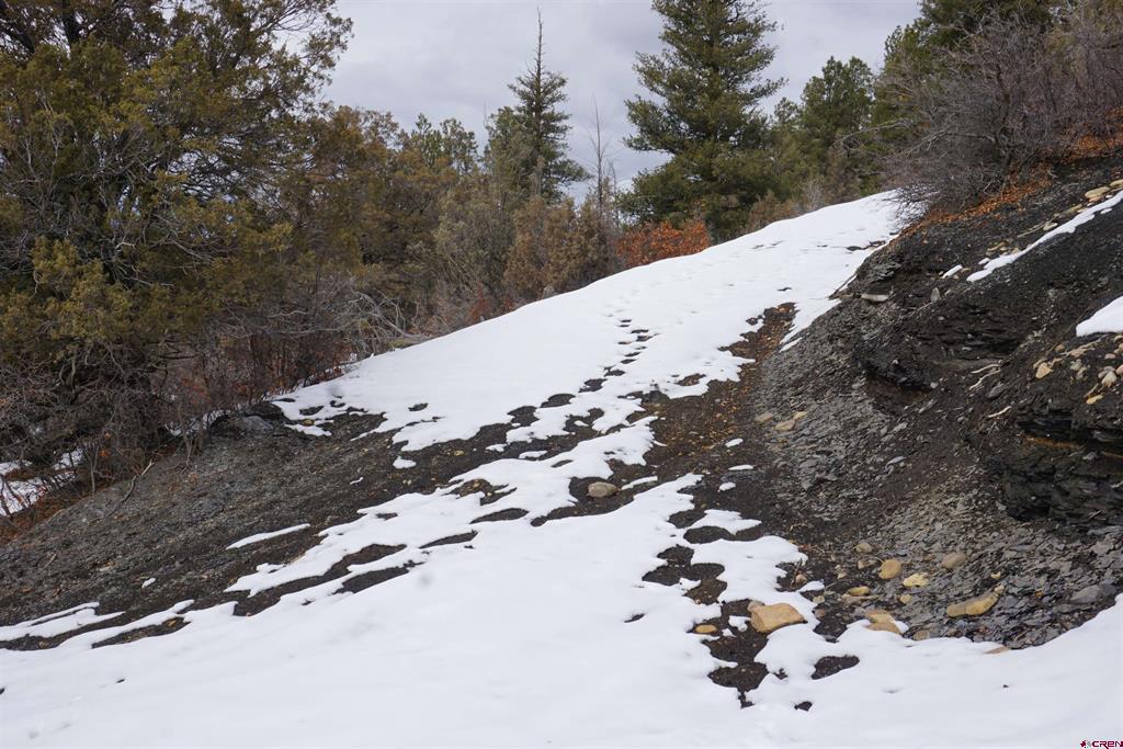 941 975,995 & 1027 Hurt Drive Pagosa Springs CO 81147