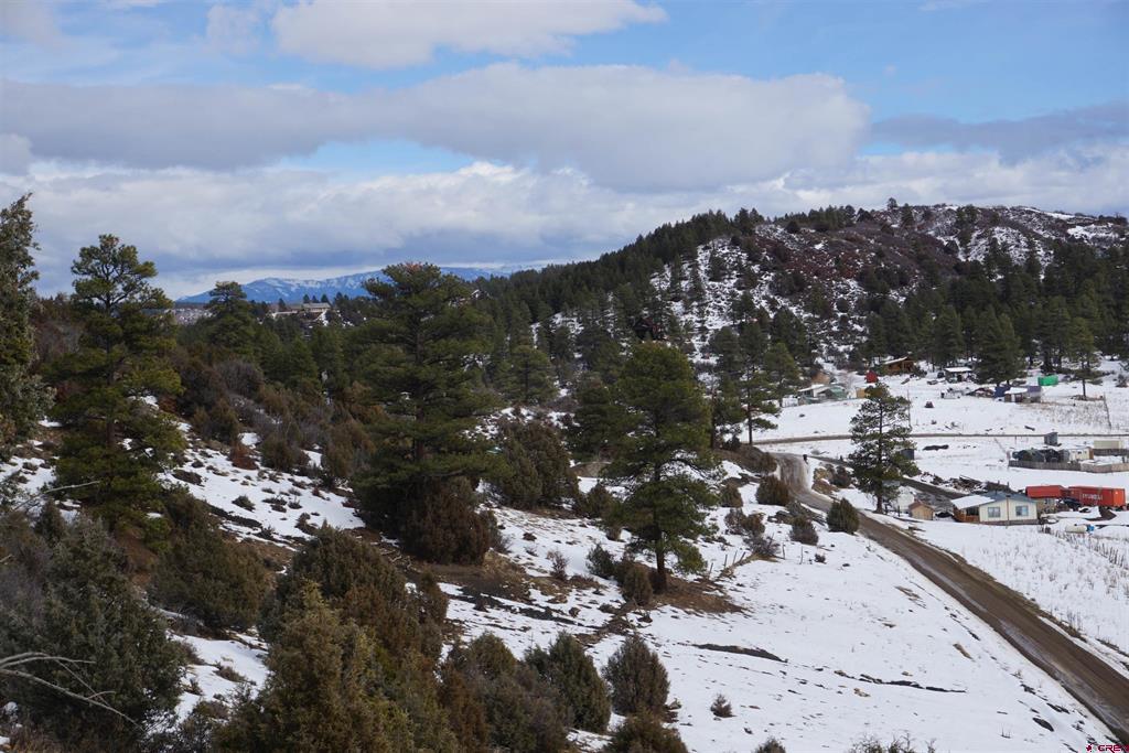 941 975,995 & 1027 Hurt Drive Pagosa Springs CO 81147