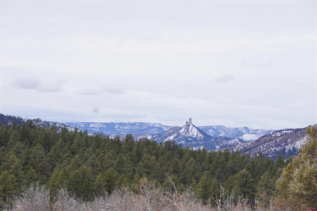 941 975,995 & 1027 Hurt Drive Pagosa Springs CO 81147