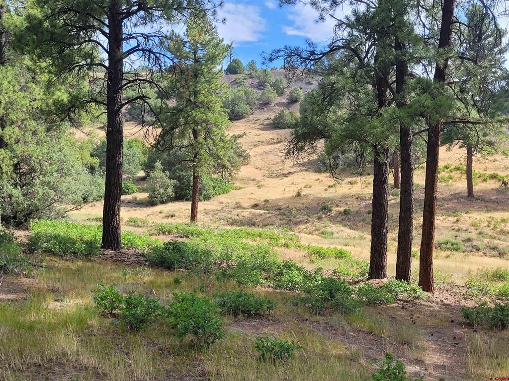 838 Quien Sabe Street Pagosa Springs CO 81147
