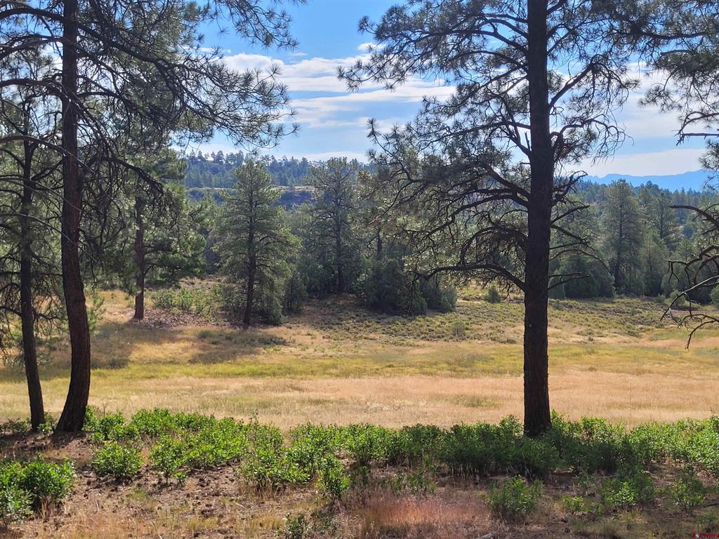 838 Quien Sabe Street Pagosa Springs CO 81147