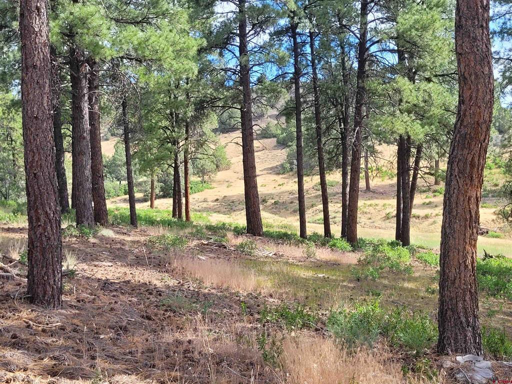 838 Quien Sabe Street Pagosa Springs CO 81147
