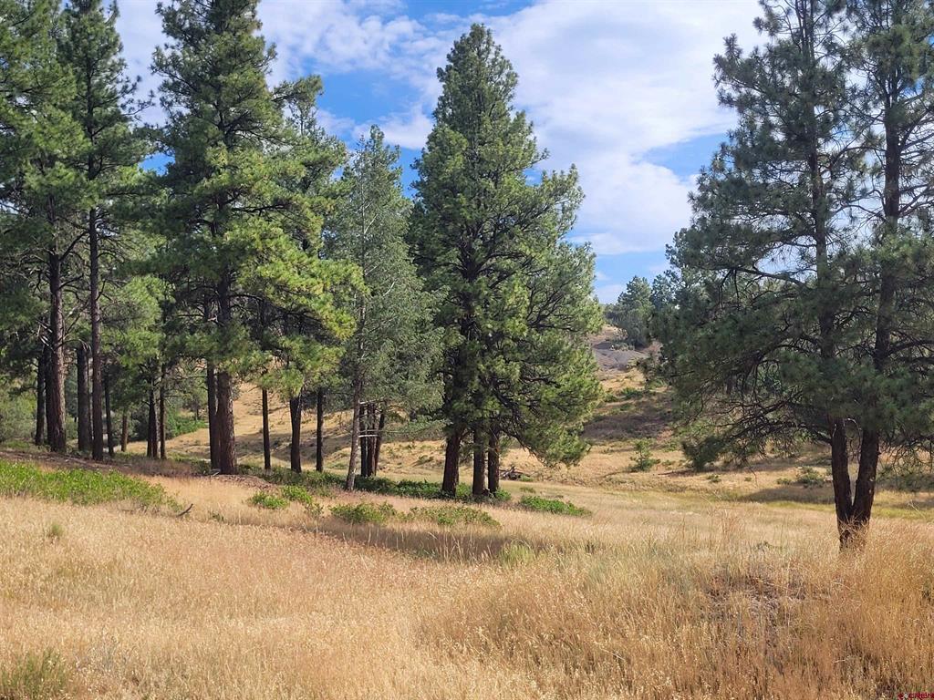 838 Quien Sabe Street Pagosa Springs CO 81147