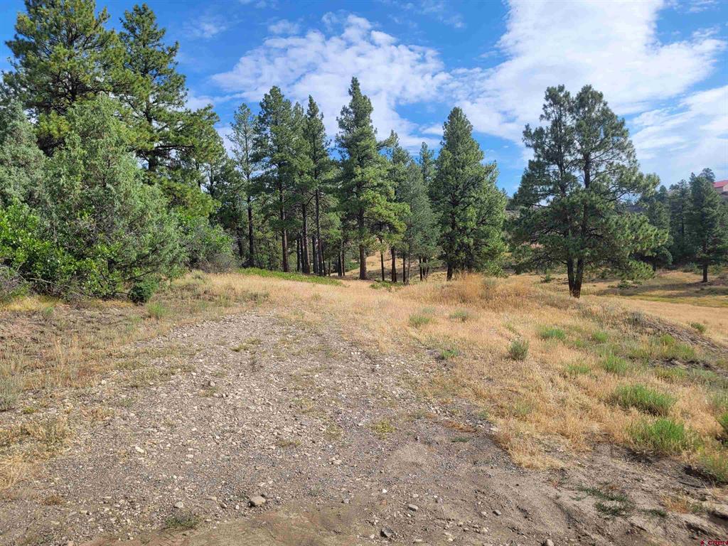 838 Quien Sabe Street Pagosa Springs CO 81147