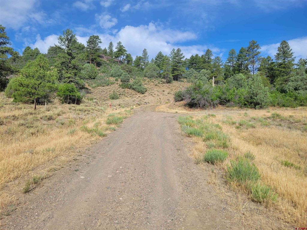 838 Quien Sabe Street Pagosa Springs CO 81147