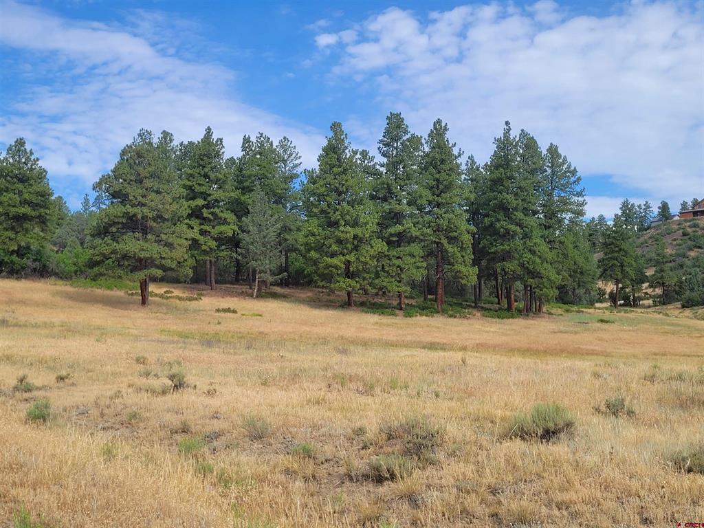 838 Quien Sabe Street Pagosa Springs CO 81147