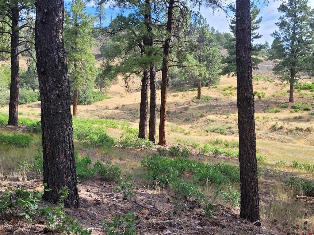 838 Quien Sabe Street Pagosa Springs CO 81147