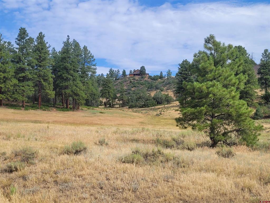 838 Quien Sabe Street Pagosa Springs CO 81147
