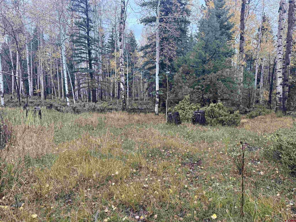 Tbd Deer Park Antonito CO 81120