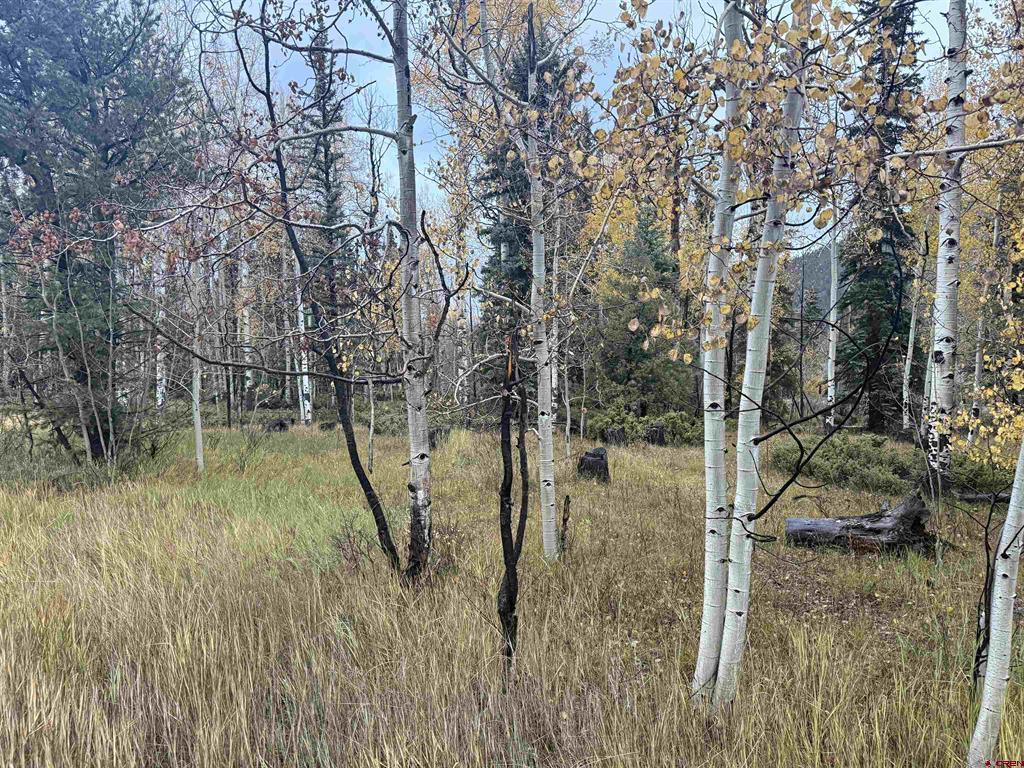 Tbd Deer Park Antonito CO 81120