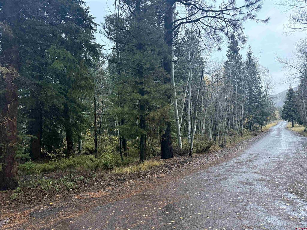 Tbd Deer Park Antonito CO 81120