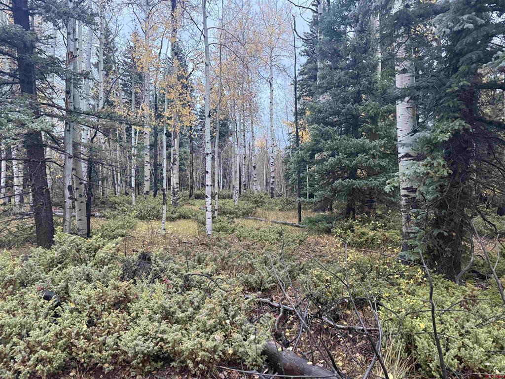 Tbd Deer Park Antonito CO 81120