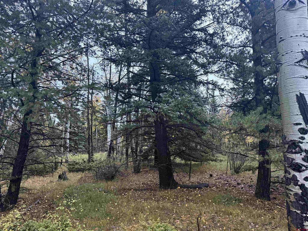 Tbd Deer Park Antonito CO 81120
