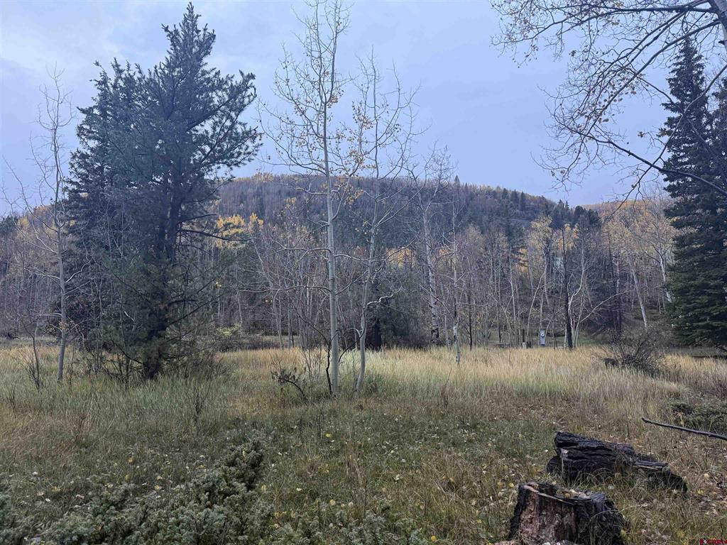 Tbd Deer Park Antonito CO 81120