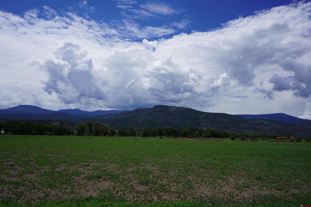 80 Iron Bridge Court South Fork CO 81154