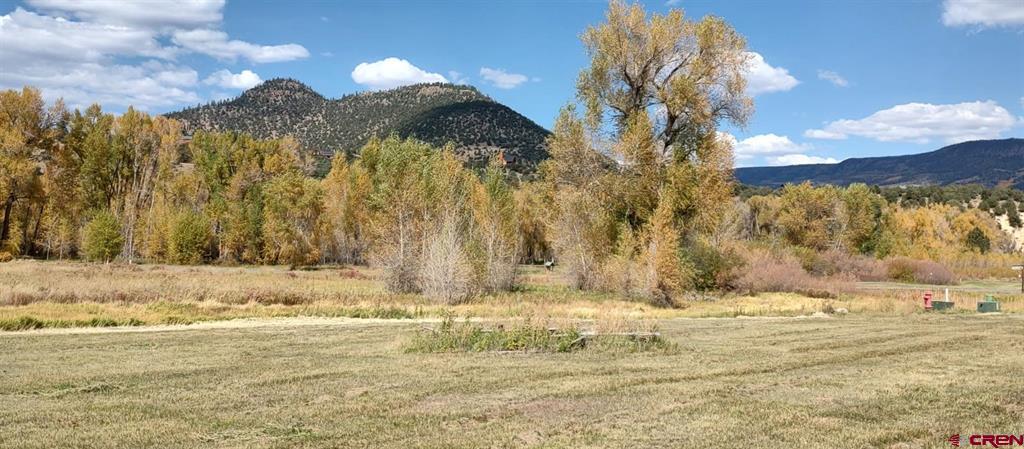 80 Iron Bridge Court South Fork CO 81154