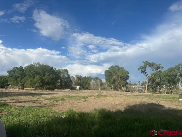 14470 Arabian Lot 2 Court Montrose CO 81403
