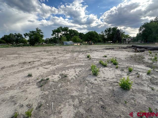 14470 Arabian Lot 2 Court Montrose CO 81403