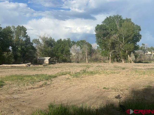 14470 Arabian Lot 2 Court Montrose CO 81403