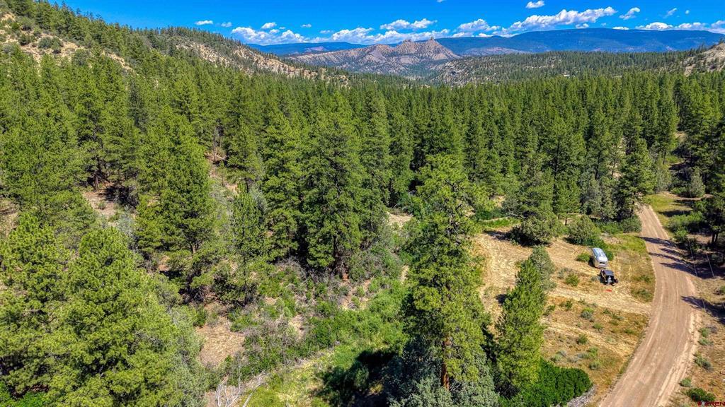 1859 County Road 917 Pagosa Springs CO 81147