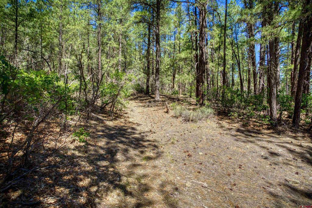 1859 County Road 917 Pagosa Springs CO 81147