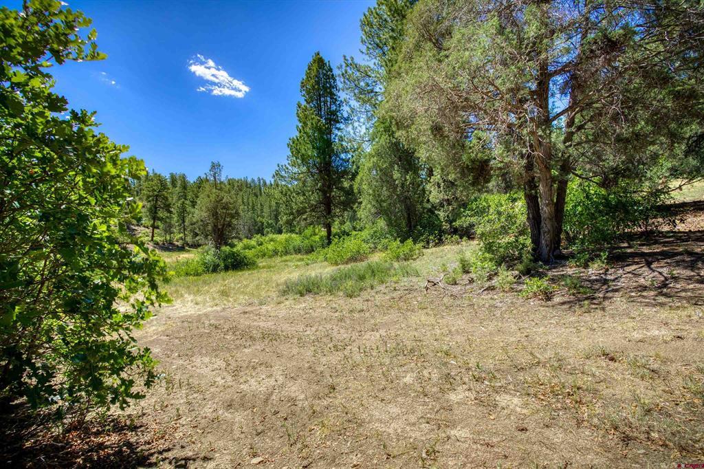 1859 County Road 917 Pagosa Springs CO 81147