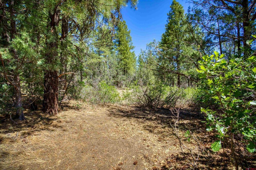 1859 County Road 917 Pagosa Springs CO 81147