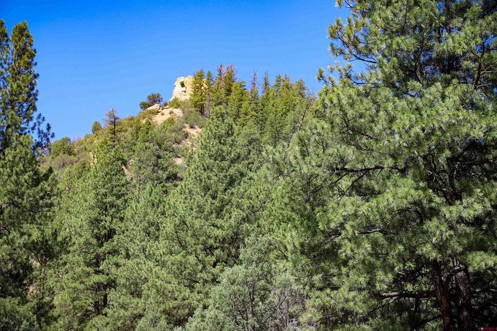 1859 County Road 917 Pagosa Springs CO 81147