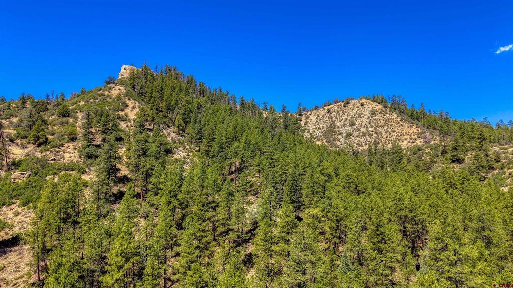 1859 County Road 917 Pagosa Springs CO 81147