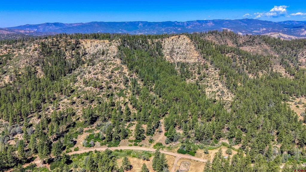 1859 County Road 917 Pagosa Springs CO 81147