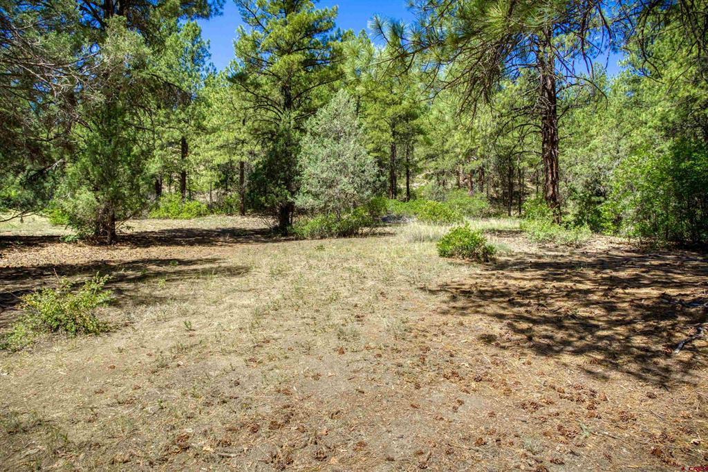 1859 County Road 917 Pagosa Springs CO 81147