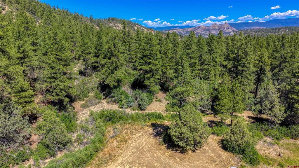 1859 County Road 917 Pagosa Springs CO 81147