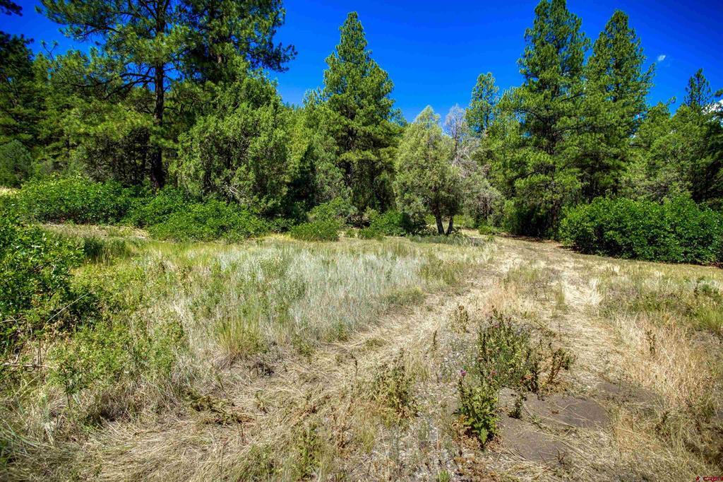 1859 County Road 917 Pagosa Springs CO 81147