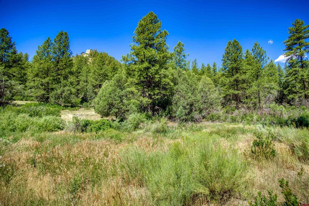 1859 County Road 917 Pagosa Springs CO 81147