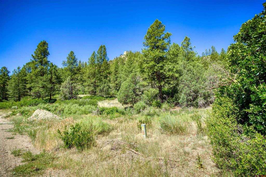 1859 County Road 917 Pagosa Springs CO 81147