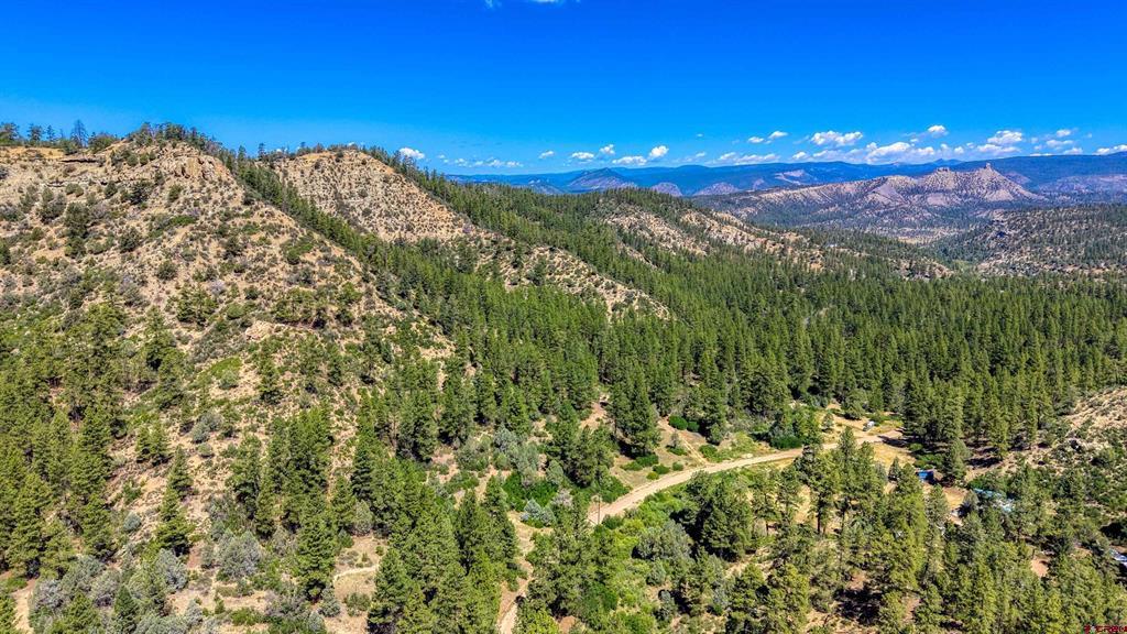 1859 County Road 917 Pagosa Springs CO 81147