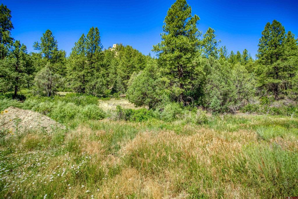 1859 County Road 917 Pagosa Springs CO 81147