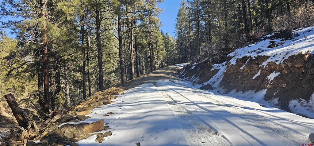 2326 Indian Land Pagosa Springs CO 81147