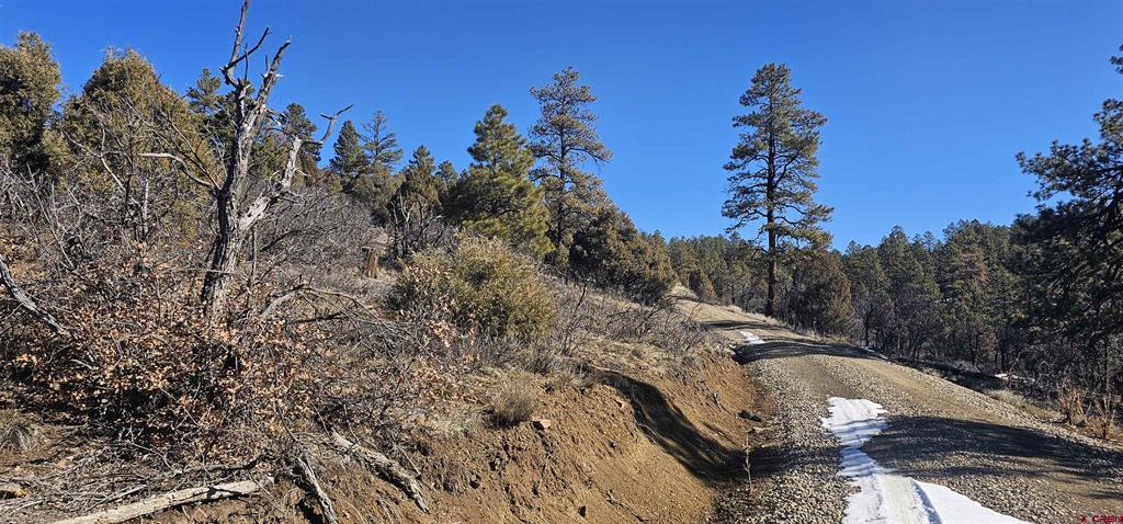 2326 Indian Land Pagosa Springs CO 81147