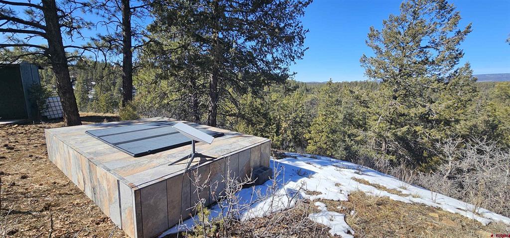 2326 Indian Land Pagosa Springs CO 81147