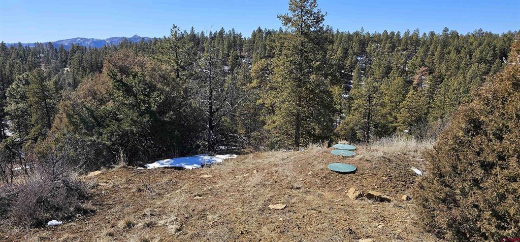 2326 Indian Land Pagosa Springs CO 81147